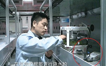 中國(guó)宇航員在太空站通過WET-2監(jiān)測(cè)萵苣生長(zhǎng)狀況