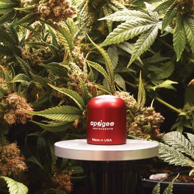 雙通道紅光和遠紅外輻射傳感器 雙通道紅光和遠紅外輻射傳感器