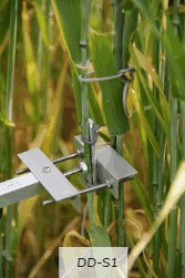 直徑生長測量儀