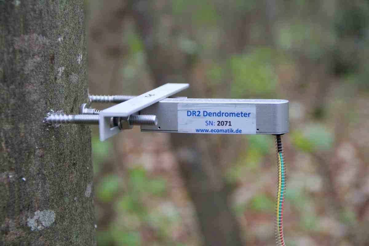 半徑生長測量儀 半徑生長測量儀