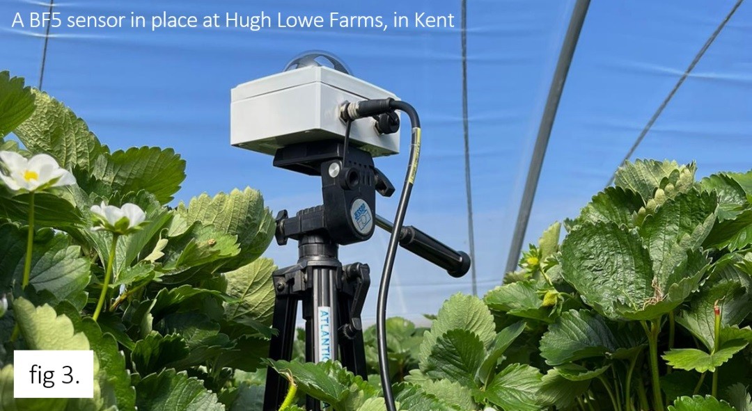 BF5日照輻射傳感器