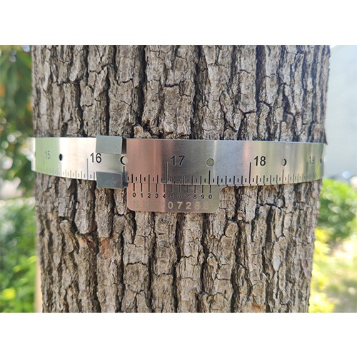  樹木胸徑生長測量環